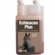 NAF Echinacea Plus Rød solhatt