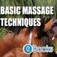 Basic Massage techniques DVD