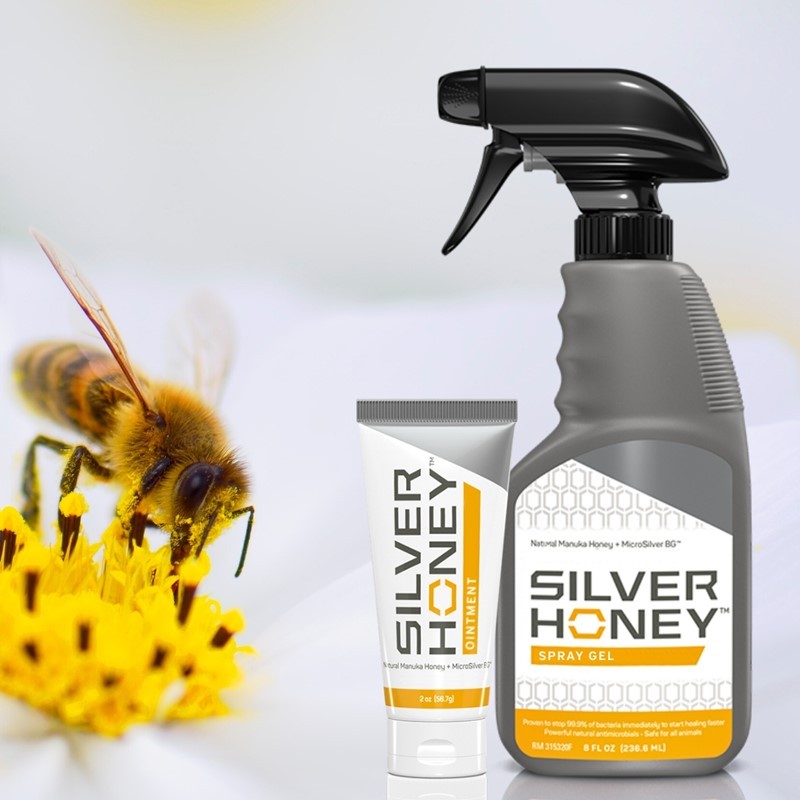 Silver Honey salve Absorbine