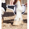 Fetlock boots magnetterapi Premier Equine