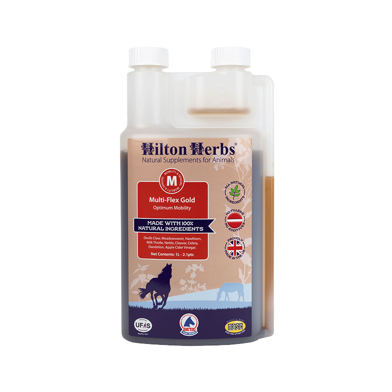 Multiflex Gold Hilton Herbs