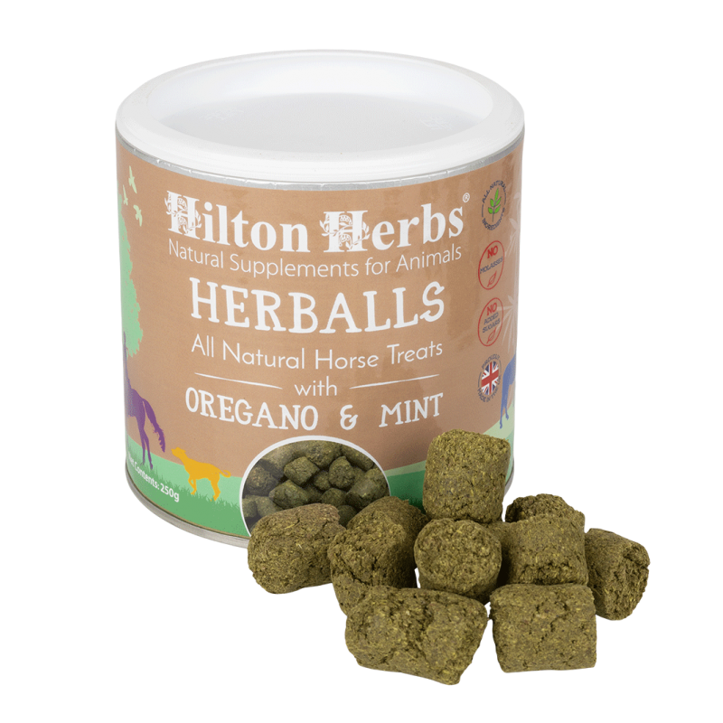 Herballs Godbiter Hilton Herbs