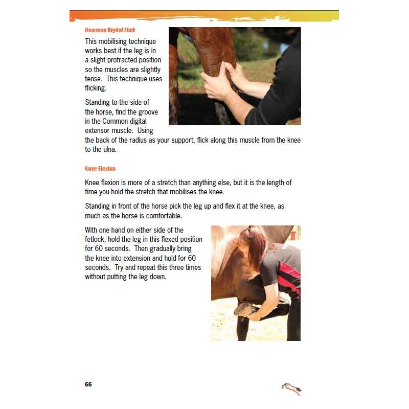 Tissue Mobilisation Techniques for horses  DVD