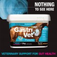 NAF GastriVet Pellets