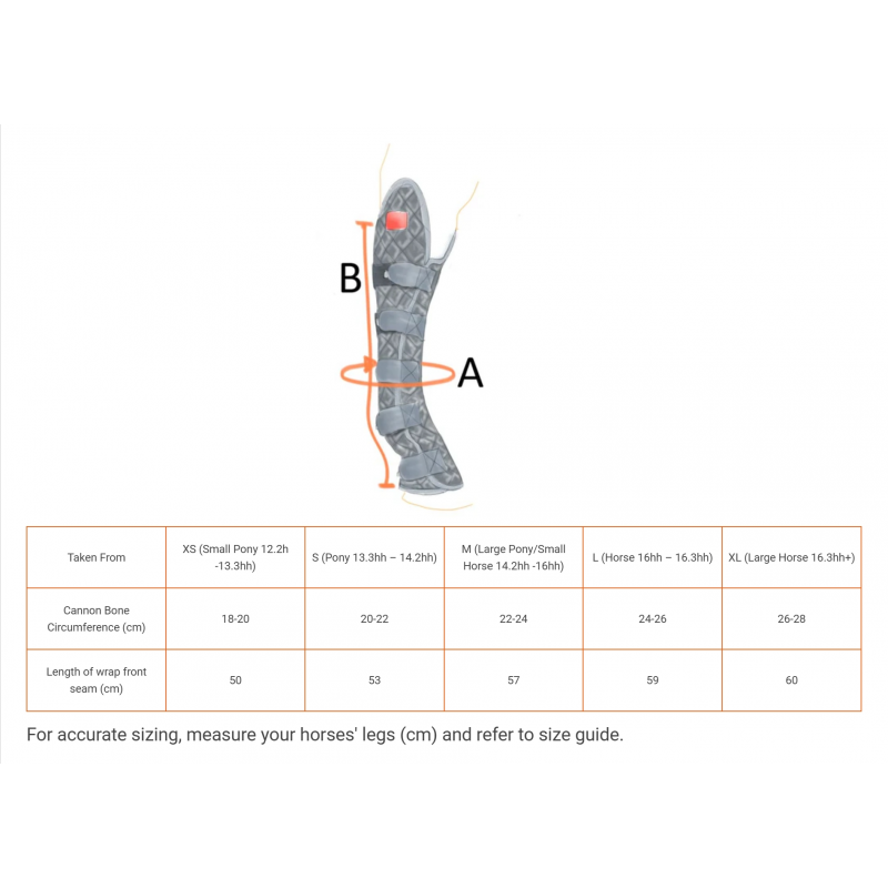 Terapi Magnet-belegg hase & bakben Equilibrium