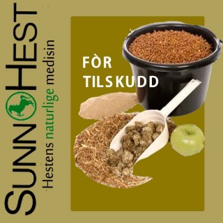 Fòrtilskudd